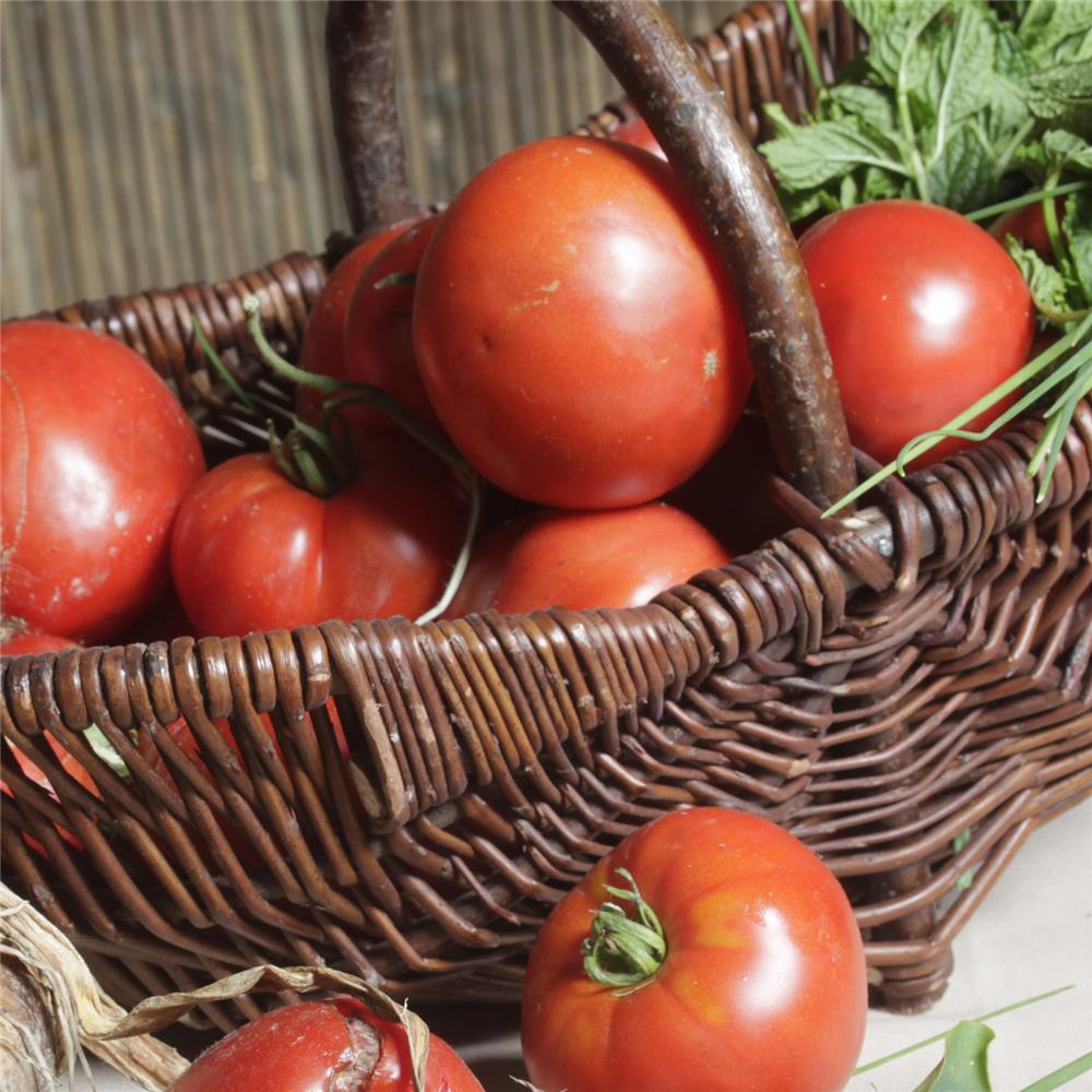 wie-erhalten-tomaten-ihren-geschmack-zuruck