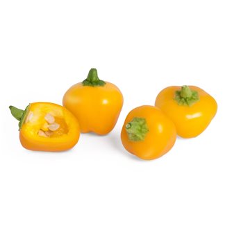 Mini poivron jaune recharge Lingot pour potager Véritable