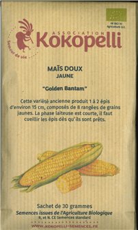 Graines de maïs Golden Bantam